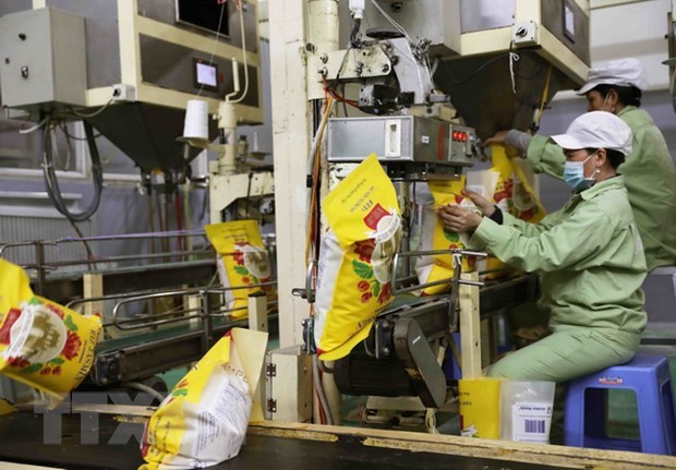 Le groupe Loc Troi expédie plus de 4 000 tonnes de riz vers l Europe